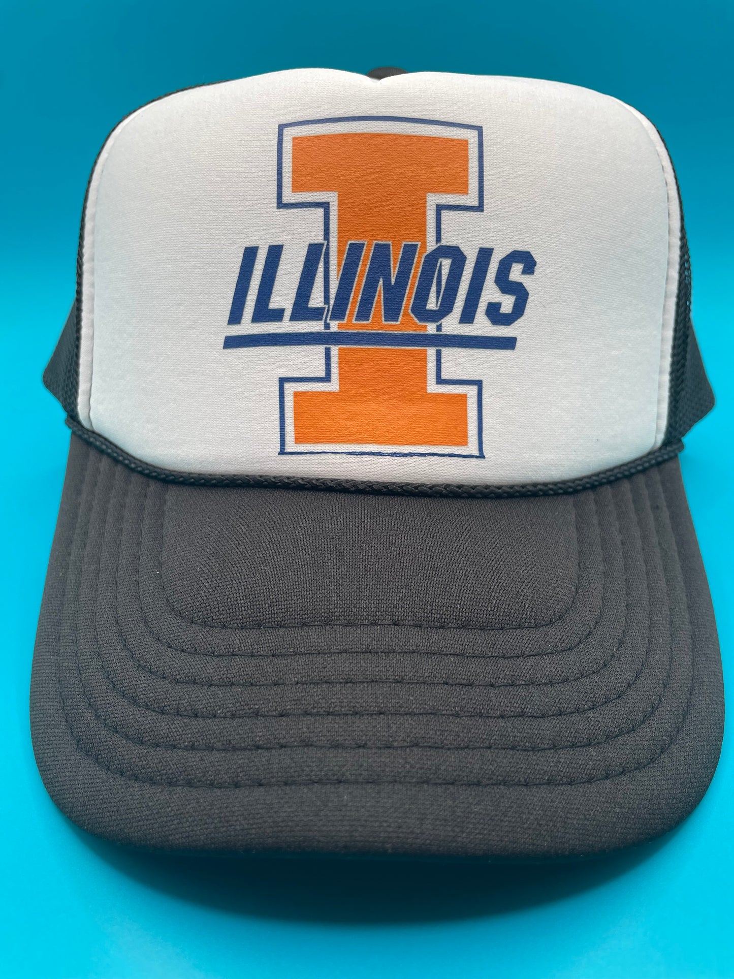 University of Illinois