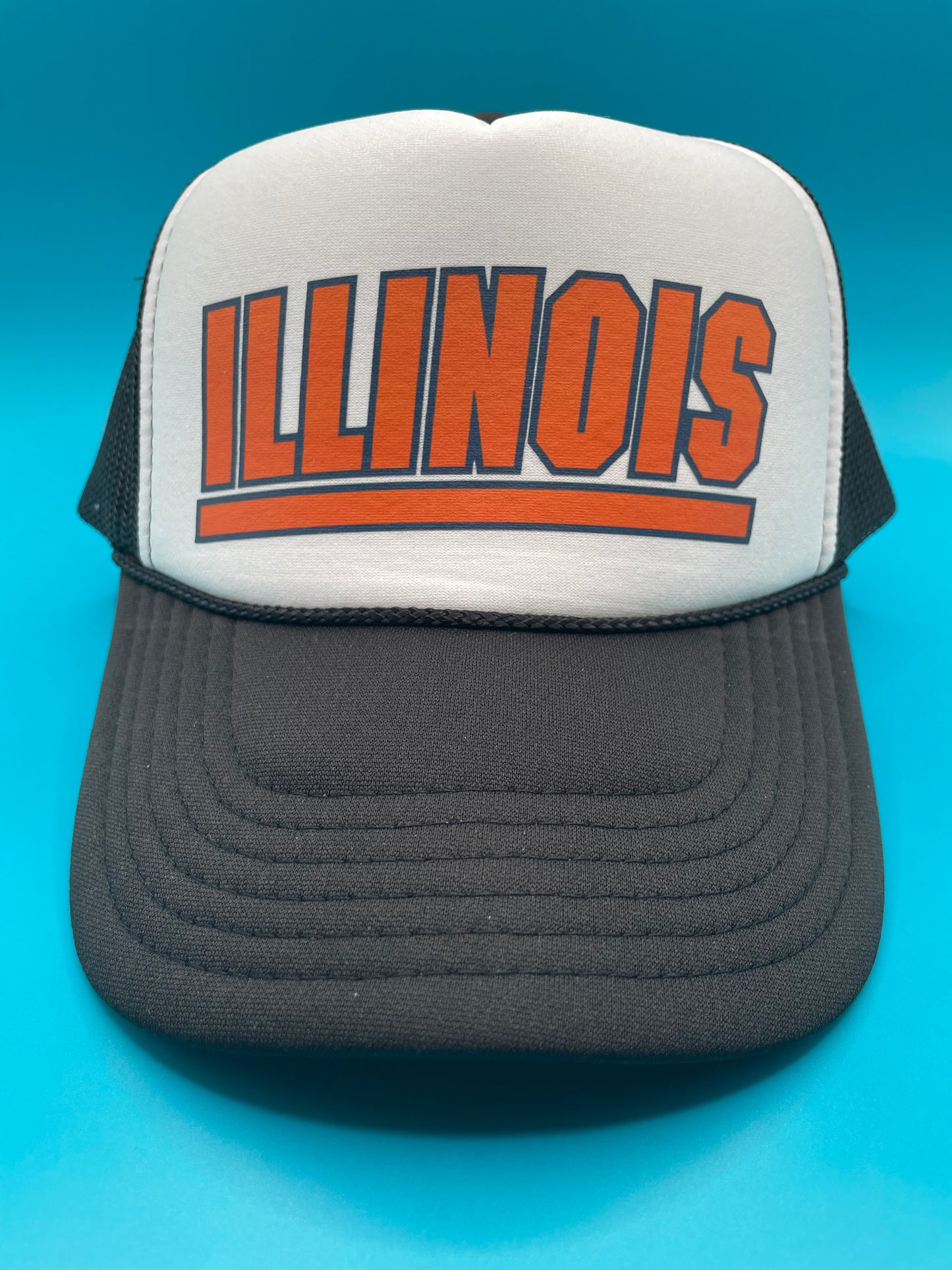 University of Illinois