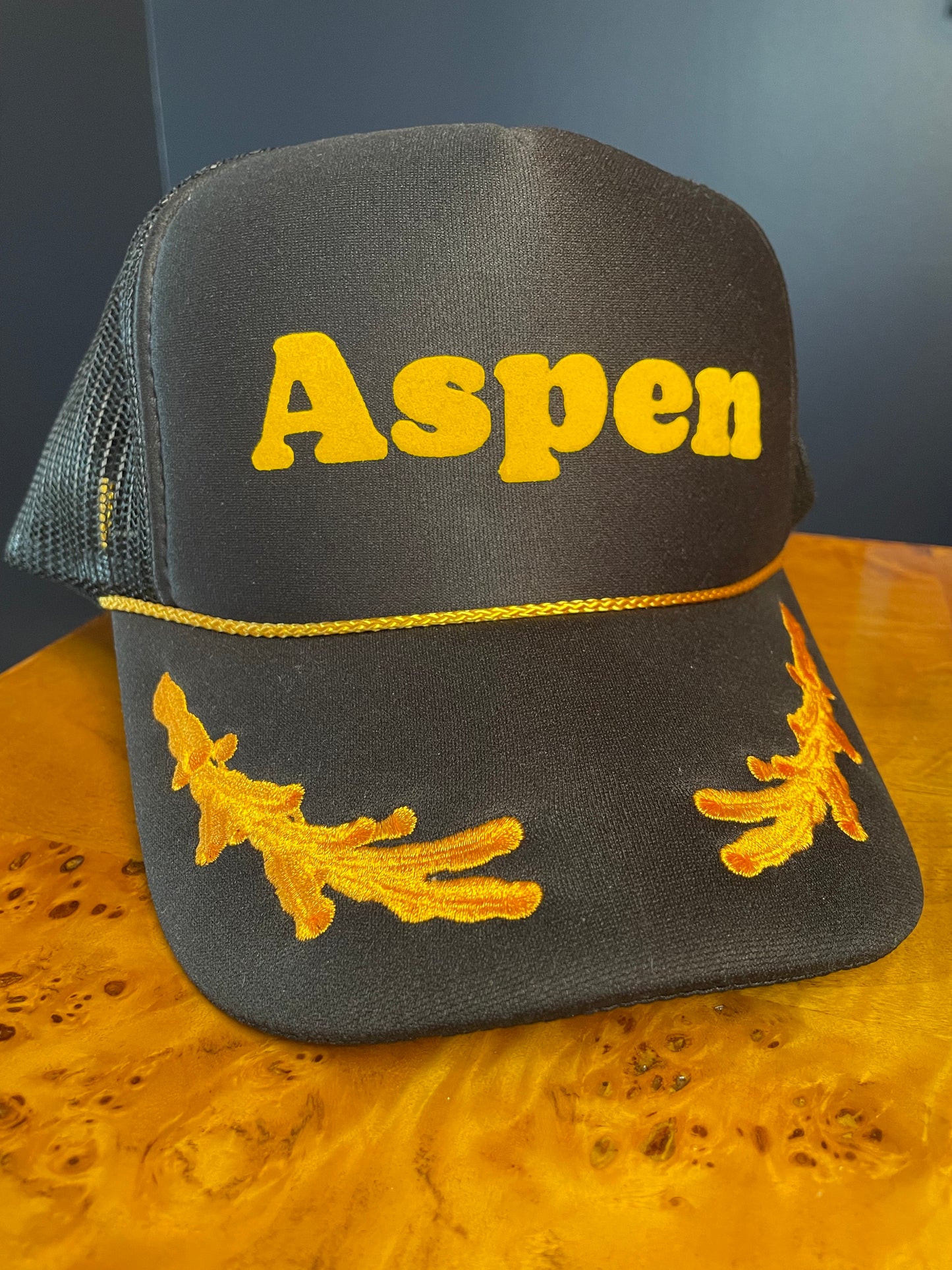 Aspen 1