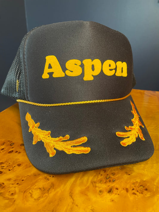 Aspen 1